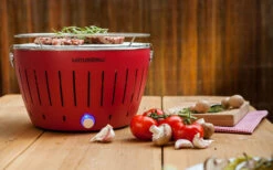 Parrilla De Carbón/mesa LotusGrill S Con Bolsa De Transporte Verde Lima